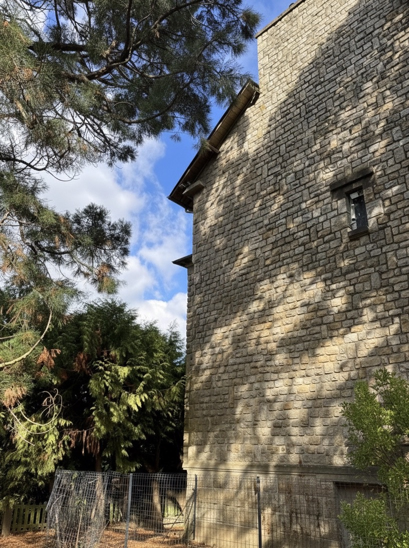 Maison à vendre à Nouvoitou, 250 m², 11 pièces – photo 2 sur 20